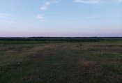 20230729_210027.jpg