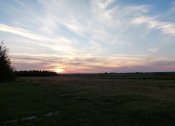 20230729_210012.jpg