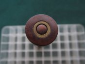.450 Boxer 3 ¼ Coiled case