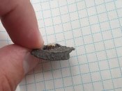 20230803_201351.jpg