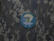 98 дивізія