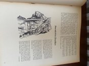 IMG-20230804-WA0055.jpg