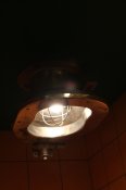IMG_8729.JPG