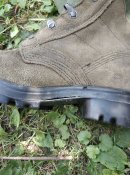 IMG_20230809_144013.jpg