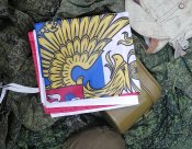 Флаг рОС. фЕД