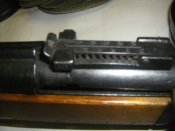 IMGP5530.JPG