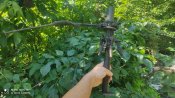 частина антени  "Sternantenne"