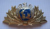 Кокарда ICOCRIM Международный Комитет по...