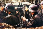 mg34p4.jpg