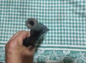 IMG_20230819_193741.jpg