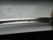 DSCN2974.JPG