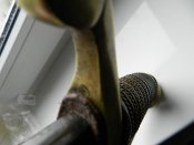DSCN2978.JPG