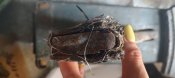 Магазини зброї росіянців. 3шт