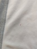 IMG_20230825_172249.jpg