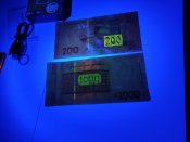 IMG_20230829_192451.jpg