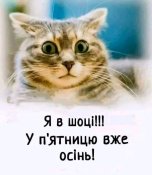 IMG-241b58cb42b7e7bab433059e706463d1-V.jpg