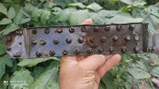 Лампова панель з "Enigma"