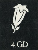 img753.jpg