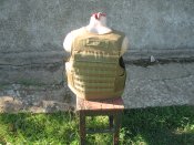 IMG_0434.JPG