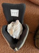 IMG_7381.jpeg