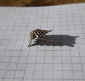 20230906_000311.jpg