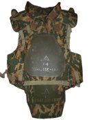 Бронепластина    6Б-12