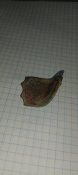 IMG_20230906_175819.jpg