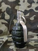 ММГ Ф-1