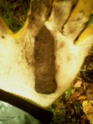 IMG0049A.jpg