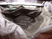 IMG_20230525_091356.jpg