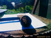 IMAG0640.jpg