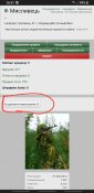 Screenshot_20230911-163222_Chrome.jpg