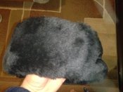 CAM00215.jpg