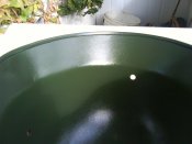 DSC02672.JPG