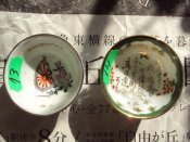 DSC02243.JPG