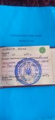 1695284254420.jpg