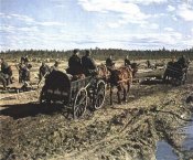 Жетон (забезпечення)