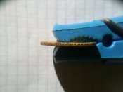 CAM00687.jpg