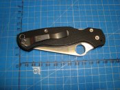DSC08750.JPG
