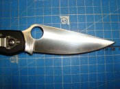 DSC08764.JPG