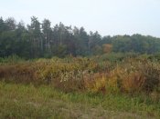 DSC01631.JPG
