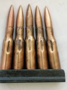 5 учебных патронов