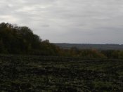 PA061006.JPG