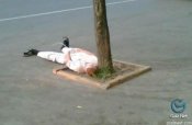 алкаш.jpg