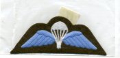 93.jpg