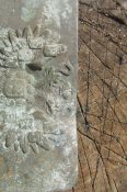 Артиллерист пушки ( коп)
