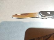 IMG_20231002_094133.jpg