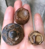 Гайки колесные, 3 шт.