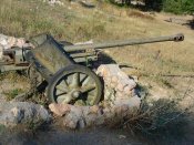 11-50mm_German_gun.jpg