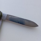 IMG_20231004_121617.jpg